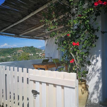 Paradiso verde a poca distanza dal mare Agropoli Esterno foto