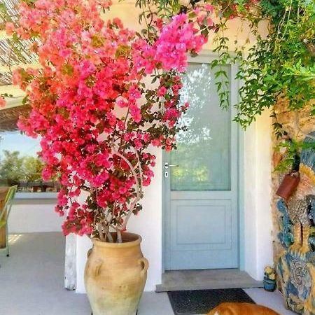 Paradiso verde a poca distanza dal mare Agropoli Esterno foto